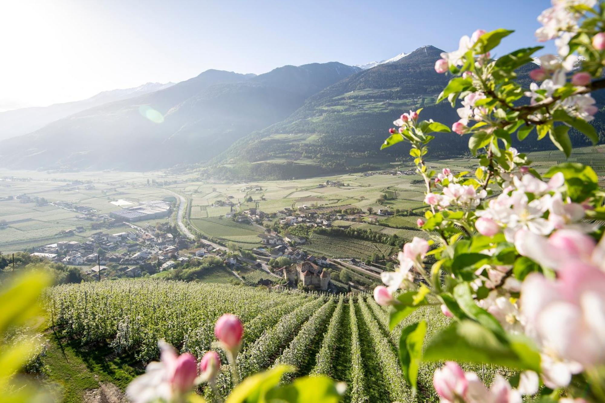 Lindenhof Pure Luxury & Spa Dolcevita Resort Натурно Экстерьер фото
